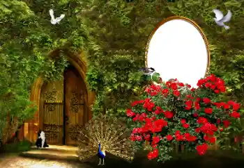 Foto Effekt från kategori Kvinna Fotoramar № 178046 Foto Effekt från kategori Kvinna Fotoramar № 178046