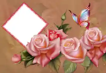 Foto Effekt från kategori Kvinna Fotoramar № 178101 Foto Effekt från kategori Kvinna Fotoramar № 178101