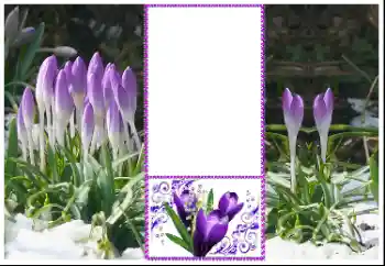 Foto Effekt från kategori Kvinna Fotoramar № 179360 Foto Effekt från kategori Kvinna Fotoramar № 179360