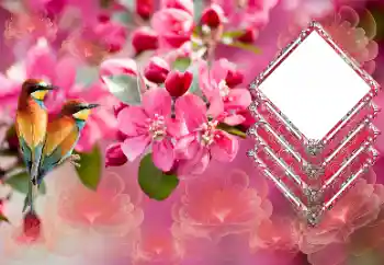 Foto Effekt från kategori Kvinna Fotoramar № 179565 Foto Effekt från kategori Kvinna Fotoramar № 179565