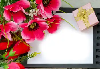 Foto Effekt från kategori Kvinna Fotoramar № 180815 Foto Effekt från kategori Kvinna Fotoramar № 180815