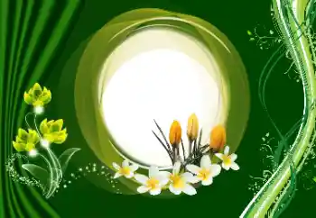 Foto Effekt från kategori Kvinna Fotoramar № 180910 Foto Effekt från kategori Kvinna Fotoramar № 180910