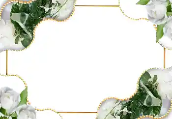 Foto Effekt från kategori Kvinna Fotoramar № 18185