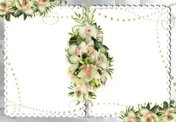 Foto Effekt från kategori Kvinna Fotoramar № 18187