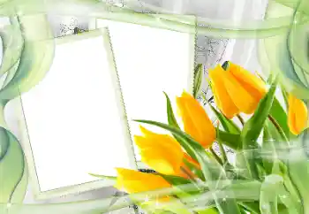 Foto Effekt från kategori Kvinna Fotoramar № 181968 Foto Effekt från kategori Kvinna Fotoramar № 181968