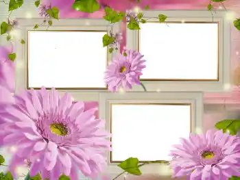 Foto Effekt från kategori Kvinna Fotoramar № 181986 Foto Effekt från kategori Kvinna Fotoramar № 181986