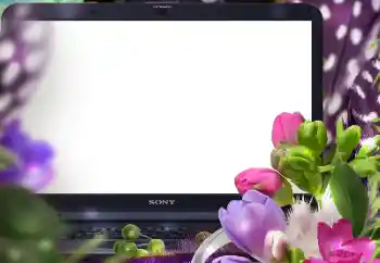 Foto Effekt från kategori Kvinna Fotoramar № 183389 Foto Effekt från kategori Kvinna Fotoramar № 183389