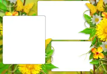 Foto Effekt från kategori Kvinna Fotoramar № 184587 Foto Effekt från kategori Kvinna Fotoramar № 184587