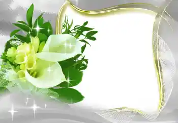 Foto Effekt från kategori Kvinna Fotoramar № 185965 Foto Effekt från kategori Kvinna Fotoramar № 185965