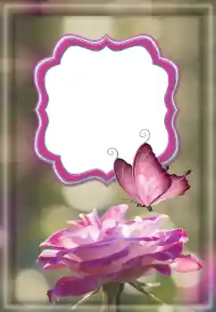 Foto Effekt från kategori Kvinna Fotoramar № 187032 Foto Effekt från kategori Kvinna Fotoramar № 187032