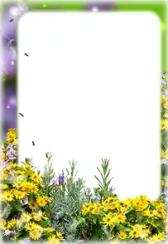 Foto Effekt från kategori Kvinna Fotoramar № 187069 Foto Effekt från kategori Kvinna Fotoramar № 187069