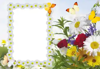 Foto Effekt från kategori Kvinna Fotoramar № 187 Foto Effekt från kategori Kvinna Fotoramar № 187