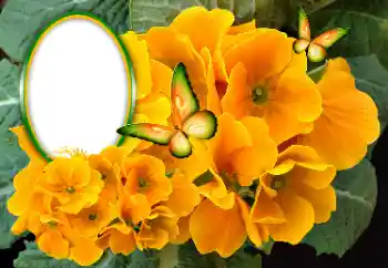 Foto Effekt från kategori Kvinna Fotoramar № 189369 Foto Effekt från kategori Kvinna Fotoramar № 189369