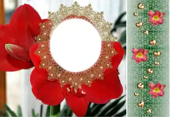 Foto Effekt från kategori Kvinna Fotoramar № 190480 Foto Effekt från kategori Kvinna Fotoramar № 190480