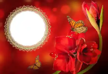 Foto Effekt från kategori Kvinna Fotoramar № 191699