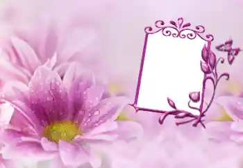 Foto Effekt från kategori Kvinna Fotoramar № 191747