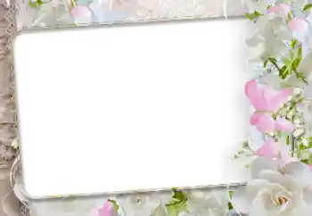 Foto Effekt från kategori Kvinna Fotoramar № 192942