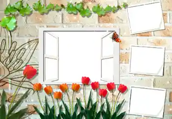 Foto Effekt från kategori Kvinna Fotoramar № 194188