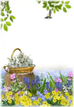 Foto Effekt från kategori Kvinna Fotoramar № 195329