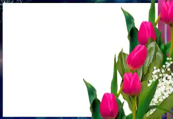 Foto Effekt från kategori Kvinna Fotoramar № 196425