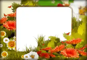 Foto Effekt från kategori Kvinna Fotoramar № 196615