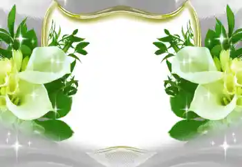 Foto Effekt från kategori Kvinna Fotoramar № 197643