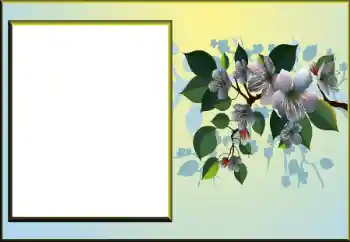 Foto Effekt från kategori Kvinna Fotoramar № 198924 Foto Effekt från kategori Kvinna Fotoramar № 198924