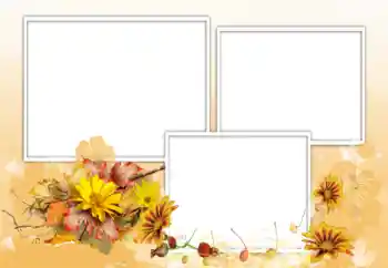 Foto Effekt från kategori Kvinna Fotoramar № 198975 Foto Effekt från kategori Kvinna Fotoramar № 198975