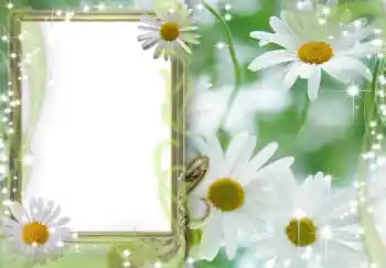 Foto Effekt från kategori Kvinna Fotoramar № 202 Foto Effekt från kategori Kvinna Fotoramar № 202