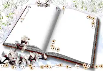 Foto Effekt från kategori Kvinna Fotoramar № 203311 Foto Effekt från kategori Kvinna Fotoramar № 203311