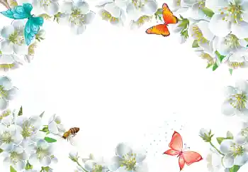 Foto Effekt från kategori Kvinna Fotoramar № 205423 Foto Effekt från kategori Kvinna Fotoramar № 205423