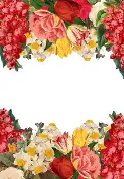 Foto Effekt från kategori Kvinna Fotoramar № 205744 Foto Effekt från kategori Kvinna Fotoramar № 205744