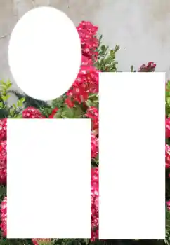 Foto Effekt från kategori Kvinna Fotoramar № 205800 Foto Effekt från kategori Kvinna Fotoramar № 205800