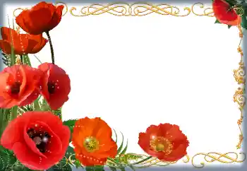 Foto Effekt från kategori Kvinna Fotoramar № 205838 Foto Effekt från kategori Kvinna Fotoramar № 205838