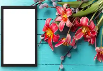 Foto Effekt från kategori Kvinna Fotoramar № 206174 Foto Effekt från kategori Kvinna Fotoramar № 206174