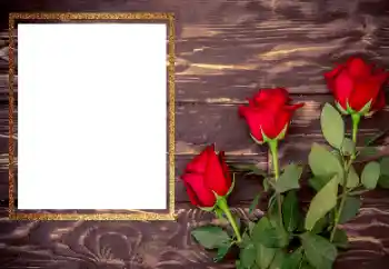 Foto Effekt från kategori Kvinna Fotoramar № 206175 Foto Effekt från kategori Kvinna Fotoramar № 206175