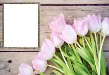 Foto Effekt från kategori Kvinna Fotoramar № 206178 Foto Effekt från kategori Kvinna Fotoramar № 206178