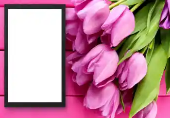 Foto Effekt från kategori Kvinna Fotoramar № 206179 Foto Effekt från kategori Kvinna Fotoramar № 206179