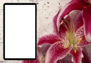 Foto Effekt från kategori Kvinna Fotoramar № 206184 Foto Effekt från kategori Kvinna Fotoramar № 206184