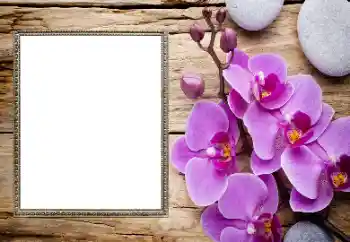 Foto Effekt från kategori Kvinna Fotoramar № 206185 Foto Effekt från kategori Kvinna Fotoramar № 206185