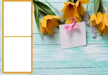 Foto Effekt från kategori Kvinna Fotoramar № 206196