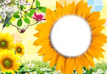 Foto Effekt från kategori Kvinna Fotoramar № 212 Foto Effekt från kategori Kvinna Fotoramar № 212