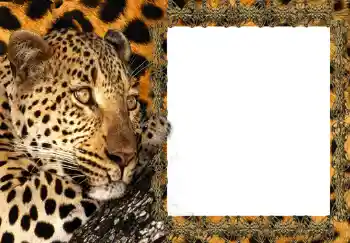 Foto Effekt från kategori Kvinna Fotoramar № 214 Foto Effekt från kategori Kvinna Fotoramar № 214