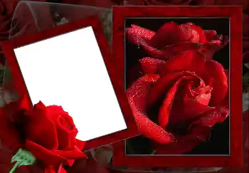 Foto Effekt från kategori Kvinna Fotoramar № 2157