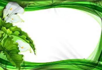 Foto Effekt från kategori Kvinna Fotoramar № 2177 Foto Effekt från kategori Kvinna Fotoramar № 2177