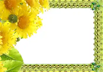 Foto Effekt från kategori Kvinna Fotoramar № 217 Foto Effekt från kategori Kvinna Fotoramar № 217