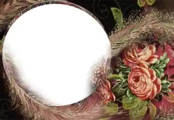 Foto Effekt från kategori Kvinna Fotoramar № 22185 Foto Effekt från kategori Kvinna Fotoramar № 22185