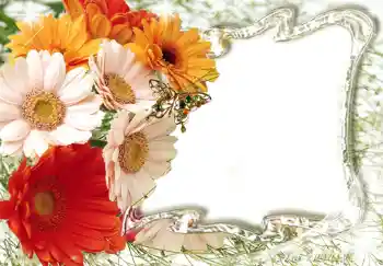 Foto Effekt från kategori Kvinna Fotoramar № 224 Foto Effekt från kategori Kvinna Fotoramar № 224