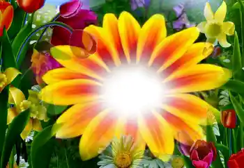 Foto Effekt från kategori Kvinna Fotoramar № 2295 Foto Effekt från kategori Kvinna Fotoramar № 2295