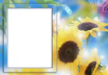 Foto Effekt från kategori Kvinna Fotoramar № 231 Foto Effekt från kategori Kvinna Fotoramar № 231